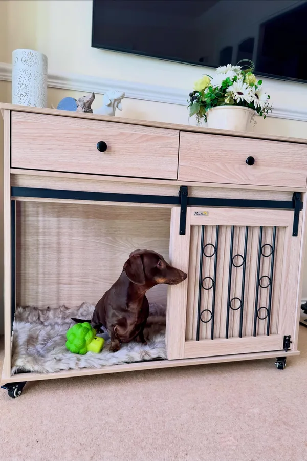 15 Cute Dog Room Ideas to Create a Cozy Space for Your Furry Friend 4 A Cozy Crate Corner That Looks Like Furniture
