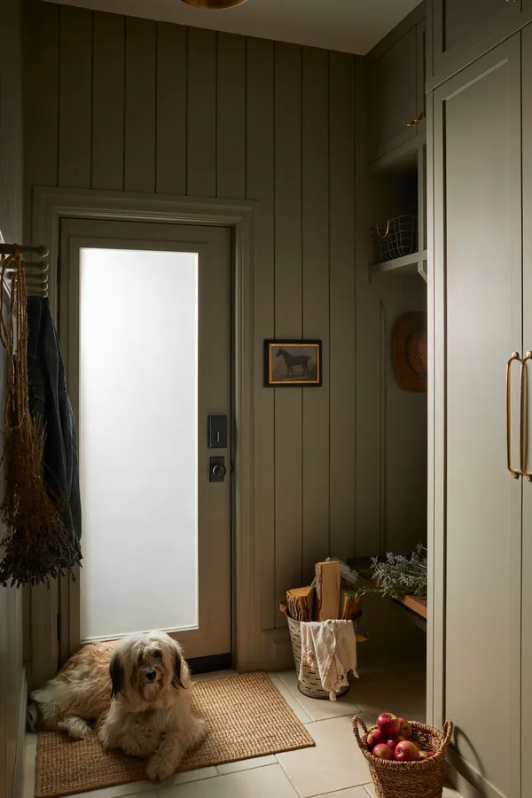 15 Cute Dog Room Ideas to Create a Cozy Space for Your Furry Friend 6 A Mudroom Dog Station With Hooks and Cubbies