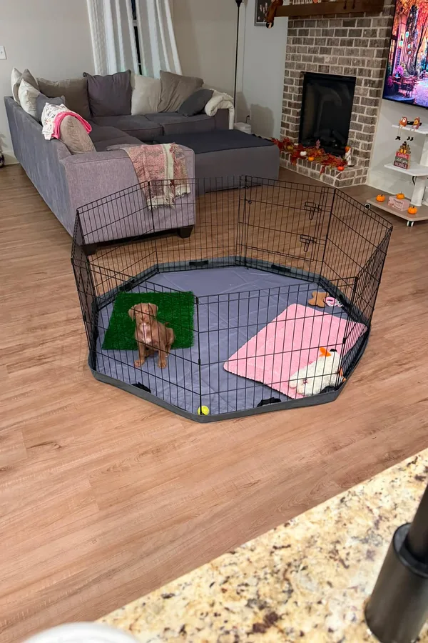 15 Cute Dog Room Ideas to Create a Cozy Space for Your Furry Friend 13 A Puppy Pen Area That Blends With the Room