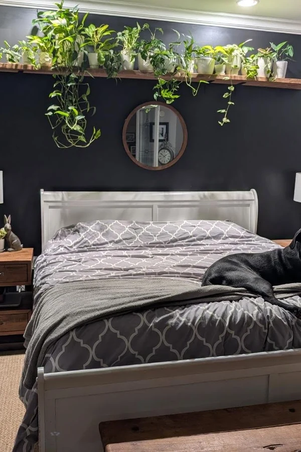 18 Above Bed Decor Ideas to Make Your Bedroom Feel Cozy and Stylish 15 Add a Plant Shelf Above the Bed