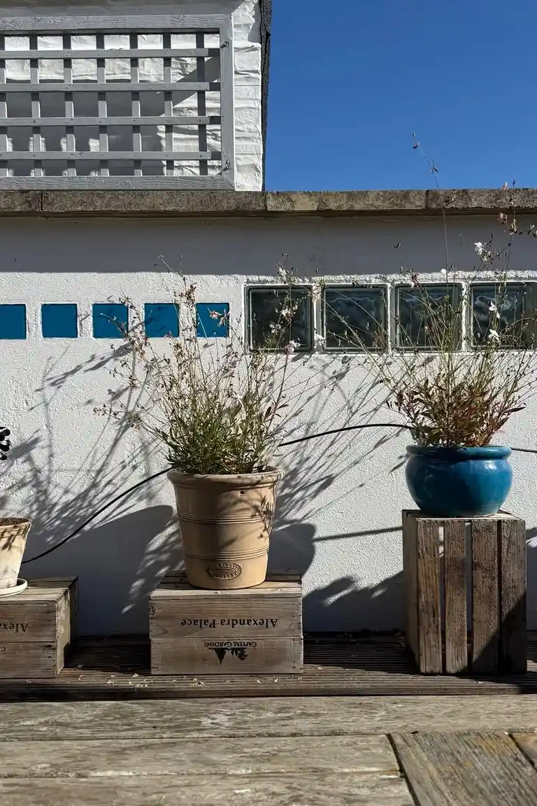 Small patio wall with potted plants displayed on wooden crates