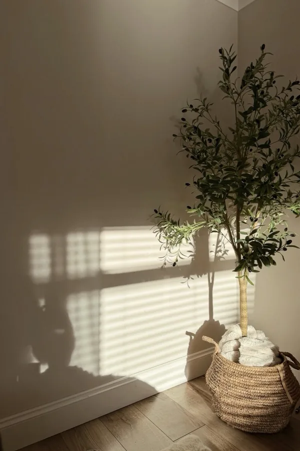 17 Empty Corner Living Room Ideas to Make Your Space Feel Complete 5 Put a Tall Olive Tree in a Woven Basket Where Light Actually Reaches