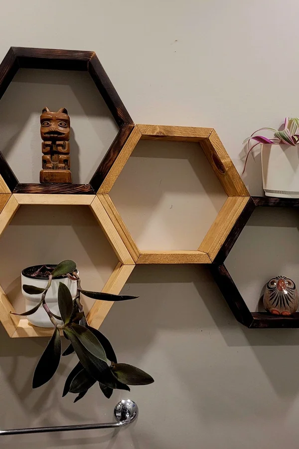 25 Creative DIY Shelf Ideas to Add Style and Storage to Your Home 9 Build a Honeycomb Hexagon Shelf Cluster